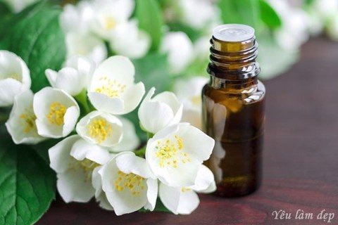 Tinh Dầu Hoa Nhài VDECOR Nguyên Chất 100% Từ Thiên Nhiên (10ml)