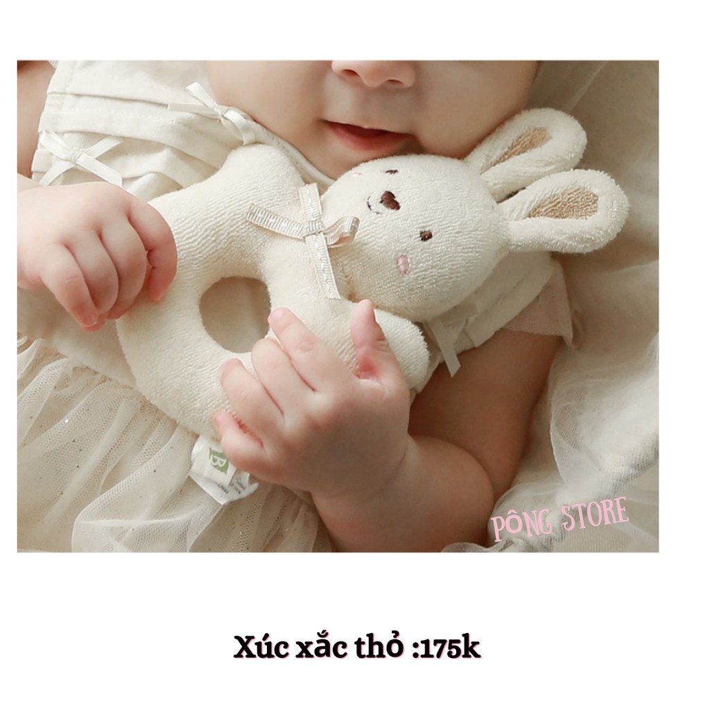 GẤU BÔNG ORGANIC BLESS NATURE