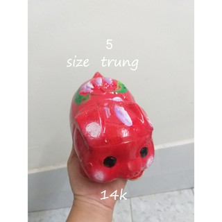 Heo đất truyền thống đủ size