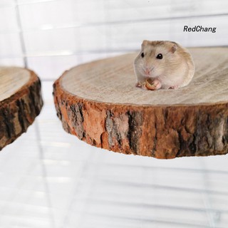 Bệ gỗ vui chơi cho chuột hamster