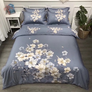 [HÀNG CAO CẤP] SET CHĂN GA GỐI COTTON LỤA HÀN QUỐC