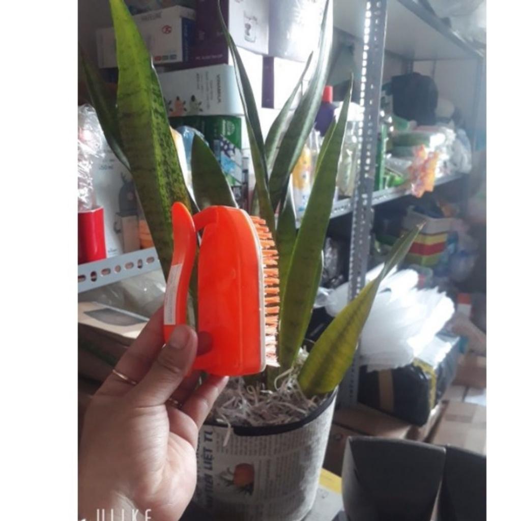 Bàn chải nhựa có tay cầm đa năng tiện dụng lông mềm