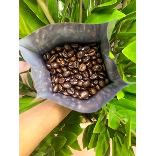 Cà Phê Nguyên Chất Robusta, Culi
