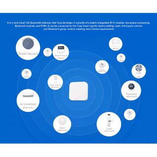 ⋐⋐ Tuya Smart Wireless Gateway Bluetooth MESH (SIG) Gateway SIG Bluetooth Gateway System 【nuuo】
