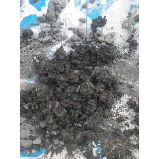 Đất trộn sẵn trồng dâu 1kg