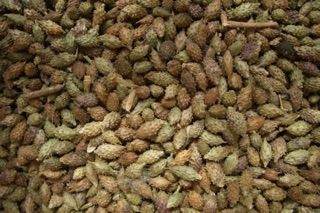 1kg hạt ké đầu ngựa