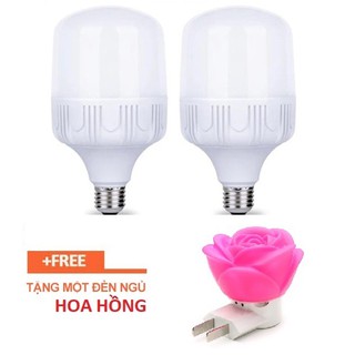Bộ 2 Bóng đèn Led trụ 30W Tặng Đèn Ngủ Hoa Hồng