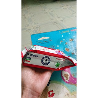 Khăn giấy ướt Phương Nam