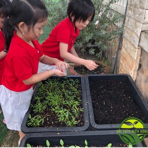 Đất Sạch Đất Hữu Cơ Đa Dụng (50dm3) Trồng Rau Sạch Hoa Kiểng Bằng Đất Sạch, Xơ Dừa, Phân Bón Hữu Cơ, dịch trùn quế.