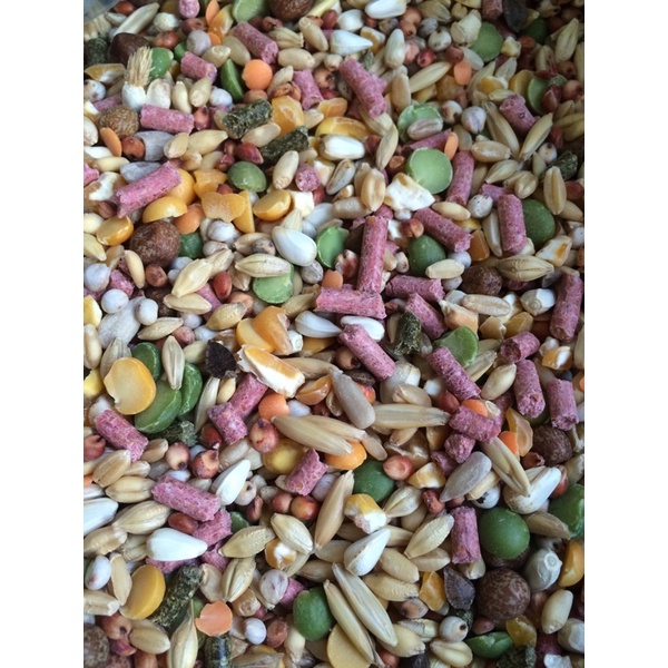 Ngũ Cốc Việt dành cho gà đá (1kg) - Pet Food Store.