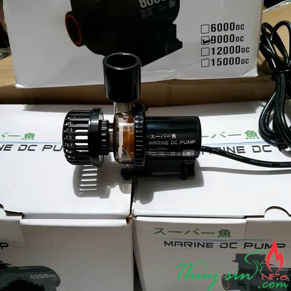 Bơm nước Marine DC-650, DC-1500, DC-2500, DC-4000, DC-6000, DC-9000