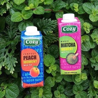 <1 Lốc > Trà sữa Đào 🍑 và Matcha 🍵COZY ngon hết sảy