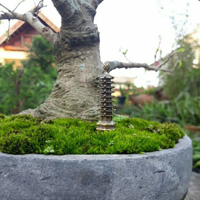 Tượng đồng phong thủy, linh vật bằng đồng làm phụ kiện tiểu cảnh, bày bàn trà, làm quà tặng | BigBuy360 - bigbuy360.vn