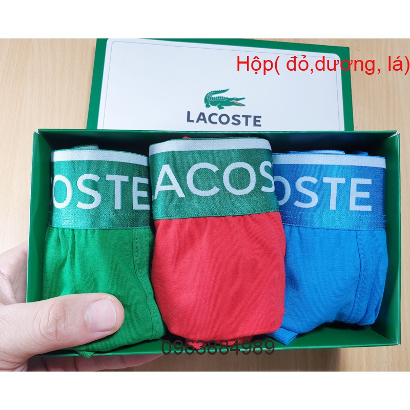 Hộp 3 quần boxer CA.01 dạng sịp đùi chất cotton đẹp tuyệt vời, nhiều màu- Ảnh, video shop làm