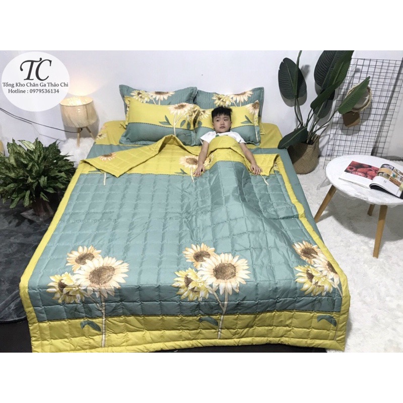Set Chăn Hè 5 Món Cotton Poly Mền Mịn- Thoáng Mát- Rẻ Đẹp