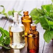 Tinh dầu xịt hương bạc hà và tinh dầu thiên nhiên 100% - diệt khuẩn, khử mùi, đuổi muỗi, côn trùng - Happy Life 4U