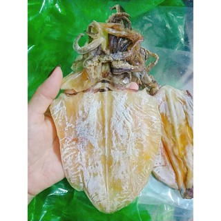 Mực câu Vân Đồn - Quảng Ninh