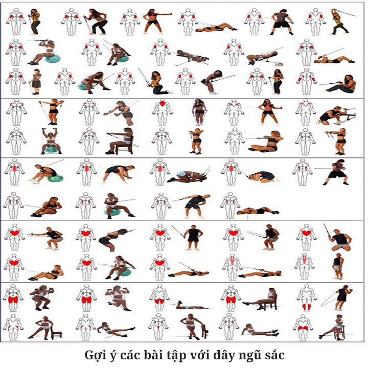 Bộ 5 Dây Ngũ Sắc Đàn Hồi Kháng Lực Tập Gym  Fitness  Yoga Thể Hình