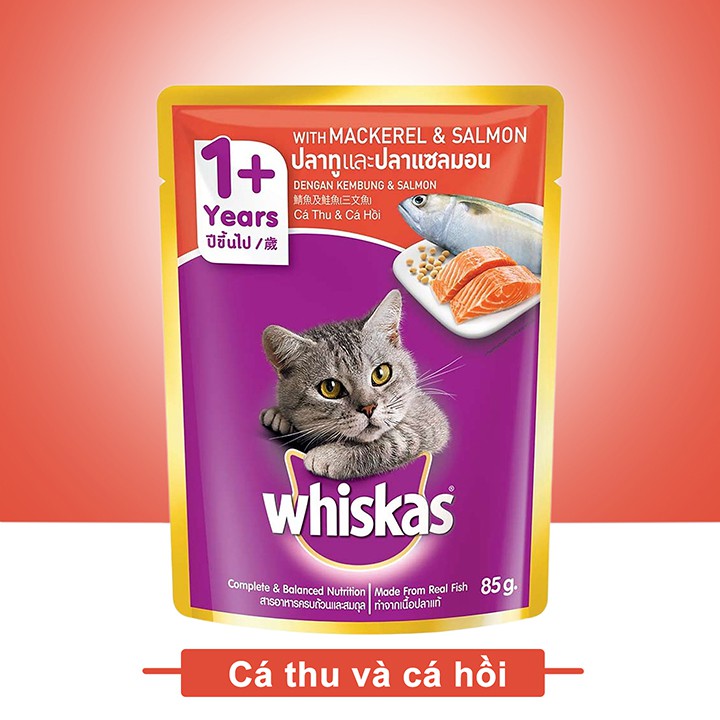 Pate Cho Mèo Trưởng Thành Whiskas Adult 1+ Gói 80g Giá Rẻ #Tintin Pet Store