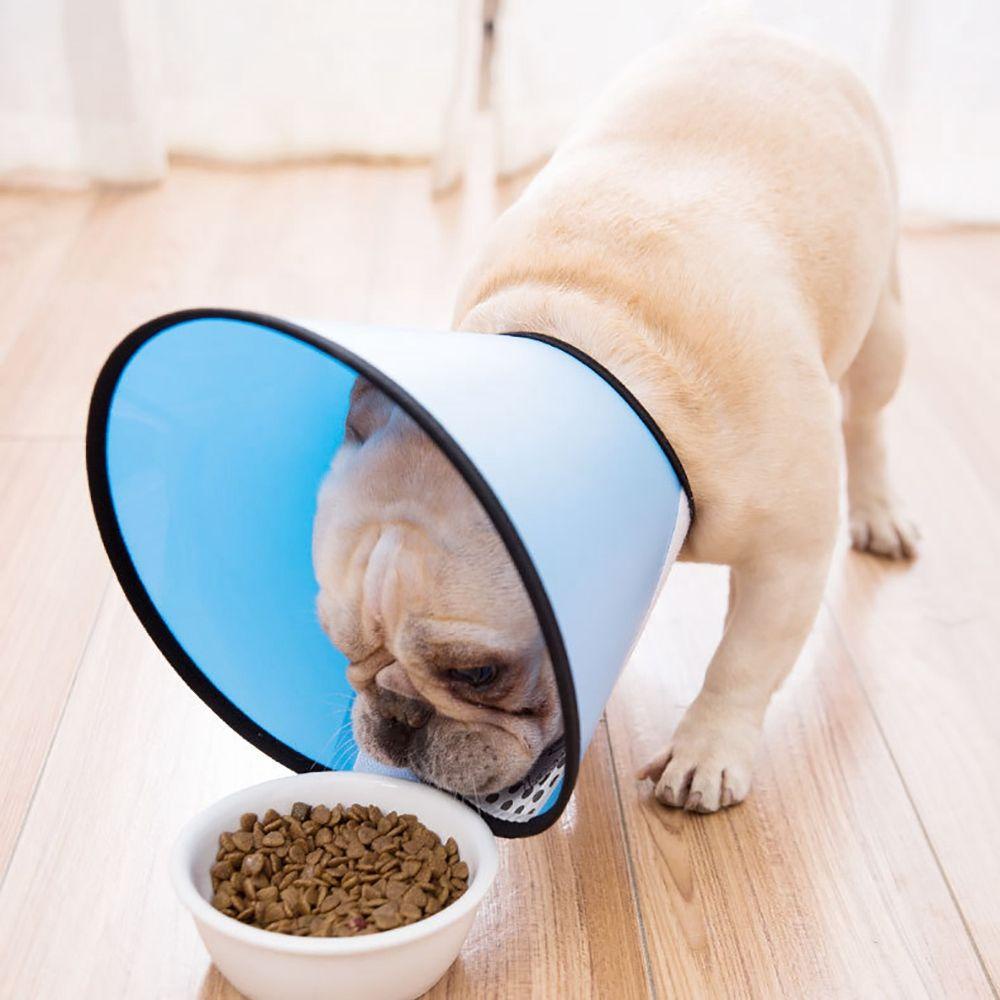 DARON Vòng Đeo Cổ Bảo Vệ Chống Cào Xước Dành Cho Thú Cưng