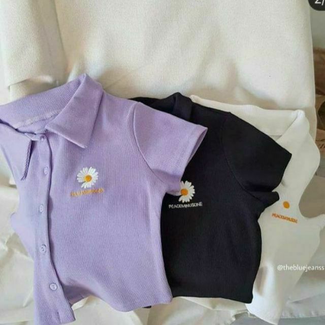 [Có Video &amp; Ảnh Thật] Áo Crotop Tăm Thêu Hoa Có Cổ