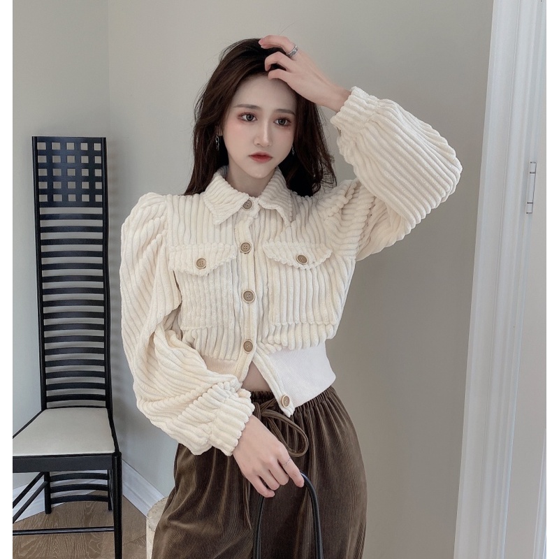 Áo Nhung Tay Dài Cổ Bẻ Dễ Phối Đồ Thời Trang Mùa Đông Cho Nữ