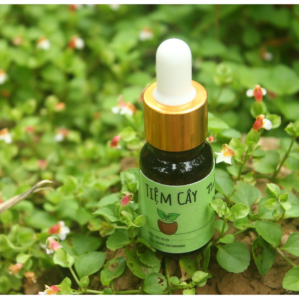 Tinh dầu Sả Java xông hương đuổi côn trùng- chai 10ml