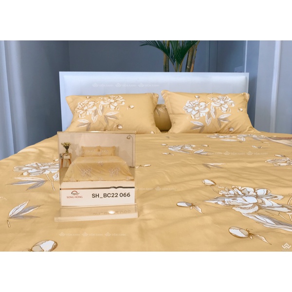 Bộ ga gối Sông Hồng Basic cotton BC22066