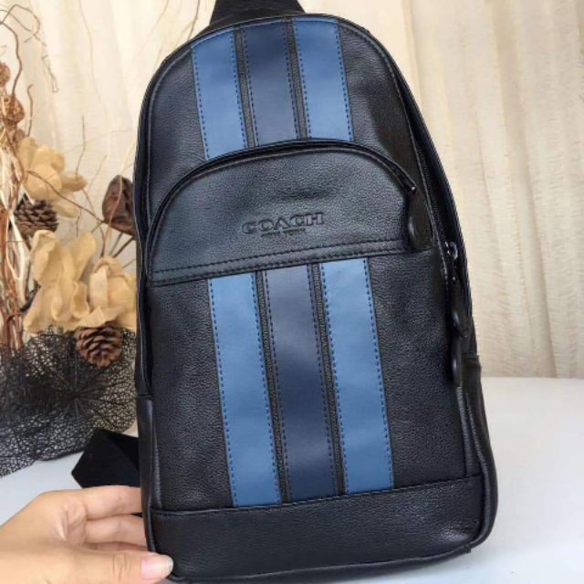 Túi Coach nam cực sang