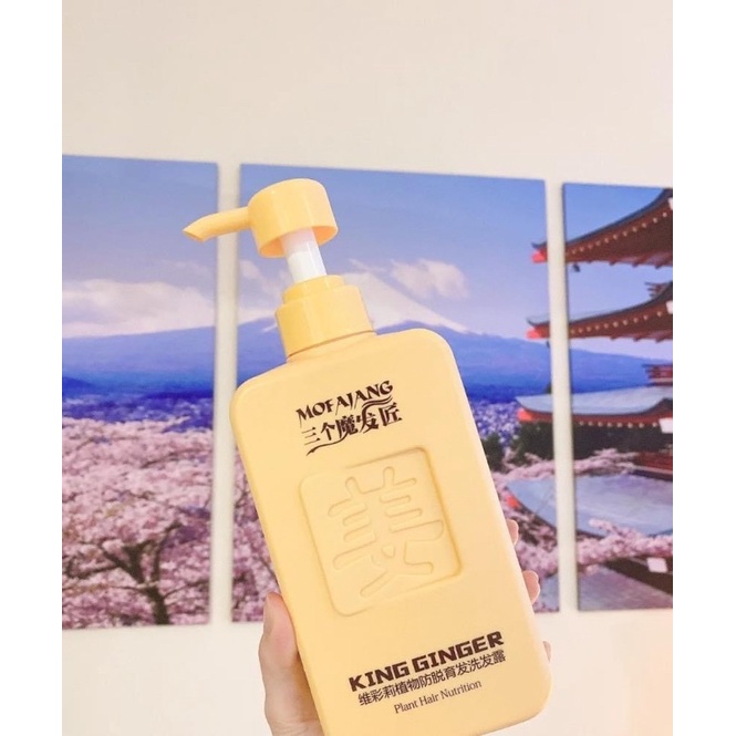 Dầu gội gừng Mofajang 500ml