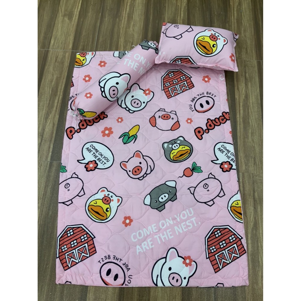 Gối đầu cotton poly hàn cao cấp  siz 25*40 giao màu ngẫu nhiên