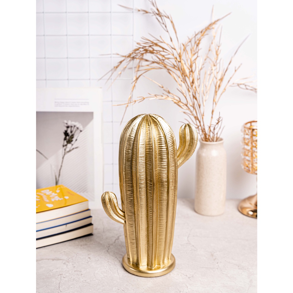 BỘ CÂY XƯƠNG RỒNG DECOR  - Sale tận gốc