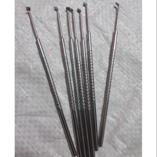 1 cây móc tai(lấy ráy tai) inox