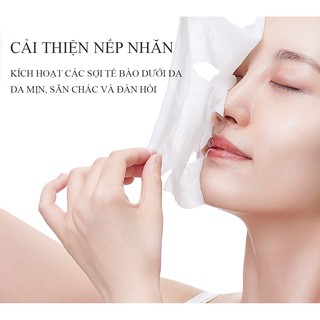 (SET 3 HỘP) MẶT NẠ 806 CẤP ẨM DƯỠNG DA KIỀM DẦU