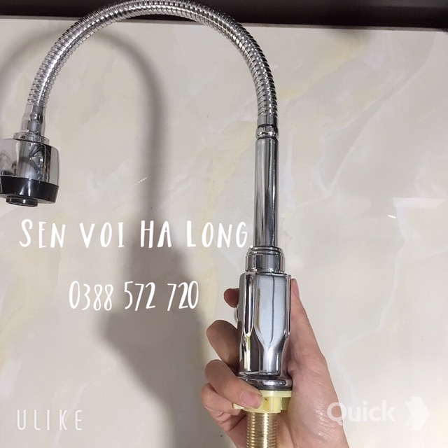 VÒI RỬA BÁT LẠNH SELTA