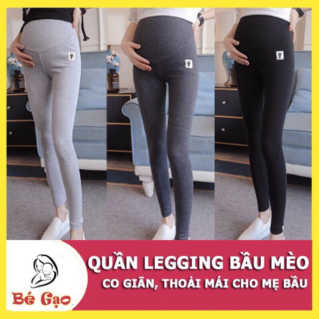 Quần bầu mèo coton zip xịn