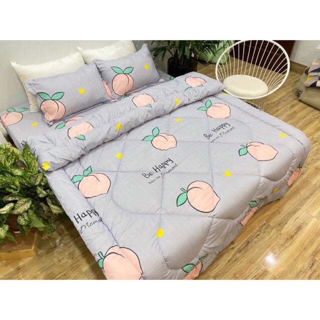 Set Chăn phao ga gối cotton poly 5 món. Được chọn mẫu.