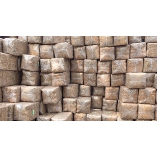 Rêu sâu Chile 100gr