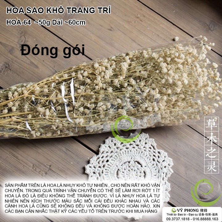 HOA SAO KHÔ BÓ 50G TRANG TRÍ NHÀ CỬA ĐẠO CỤ CHỤP ẢNH SẢN PHẨM INS HOA-64