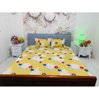 Bộ ga gối chun trần 3 món 2mx2m2