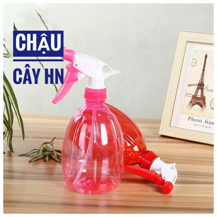 Bình xịt nước tưới cây mini nhỏ gọn tưới cây cảnh để bàn, cây cảnh nội thất