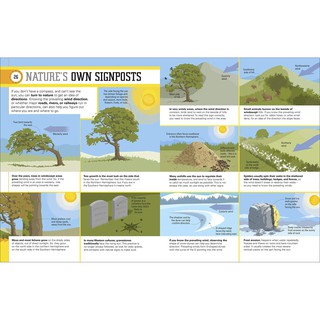 Survival for Beginners - A Step-By-Step Guide To Camping And Outdoor Skills