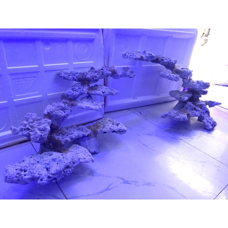 ĐÁ SAN HÔ - SETUP LAYOUT BỂ CÁ BIỂN