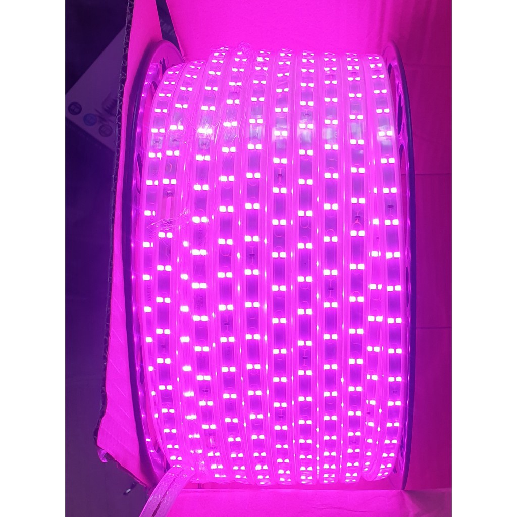 Cuộn led dây đôi 2835 - 100m  + tặng 3 nguồn. Trang trí Tết, Noel, quán cafe, treo quấn cây