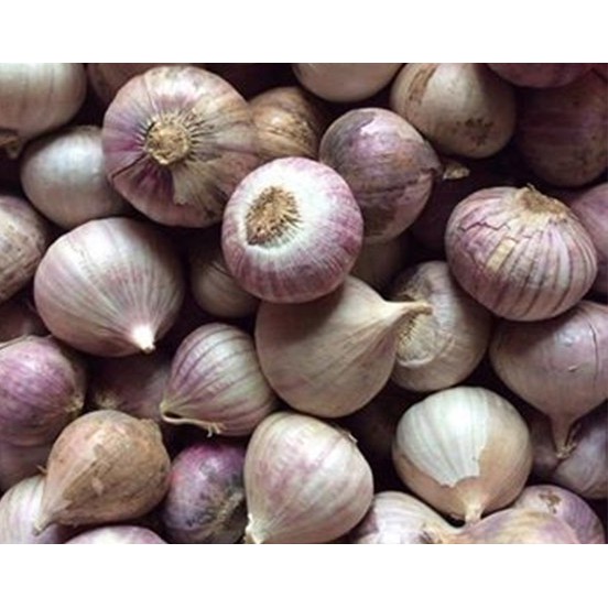 500Gr Tỏi Cô Đơn  | Bò Đội Nón Shop