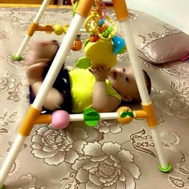 Kệ chu a con vẹt