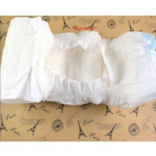 [Yêu Thích] Tả Bỉm cho chó cái