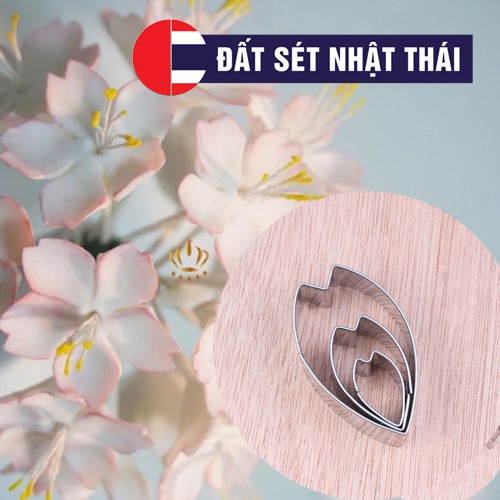 KHUÔN CẮT HOA ANH ĐÀO, HOA MAI LÀM HOA ĐẤT SÉT, HOA ĐƯỜNG, XÔI HOA ĐẬU, HOA BÁNH KEM, RAU CÂU