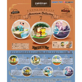 MÔ HÌNH POKEMON TERRARIUM COLLECTION 7