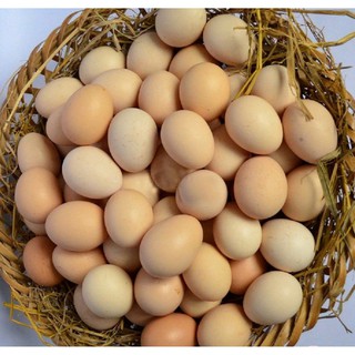 Combo Trứng Gà & Trứng Gà Ta